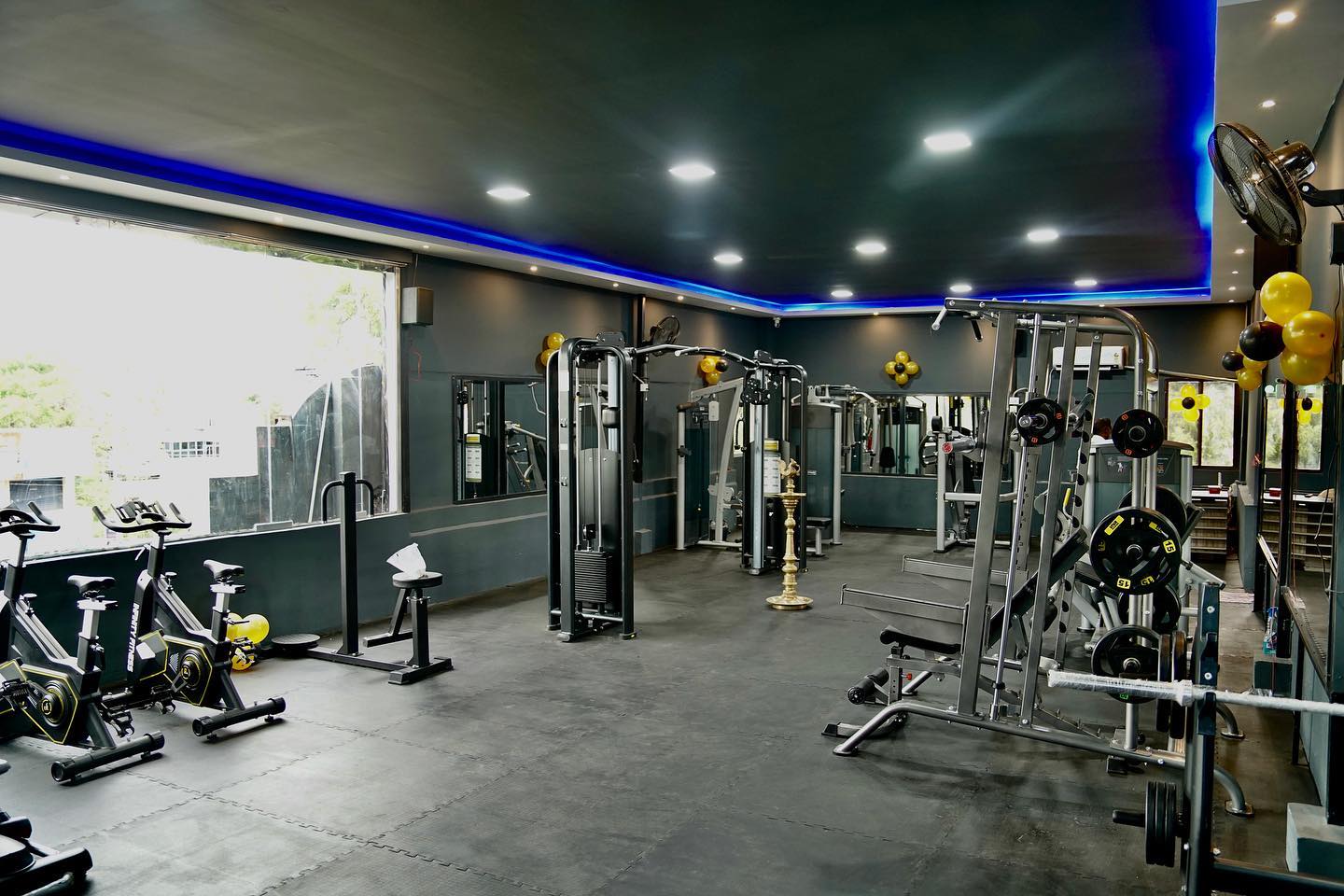 THOR GYM arena