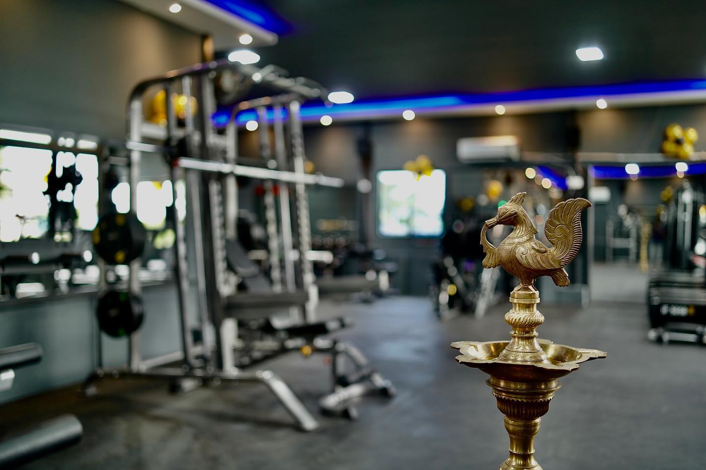 Free Weight Section